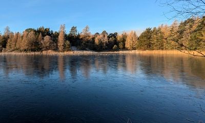 Country diary: Somewhere around this glorious loch, beavers are at work