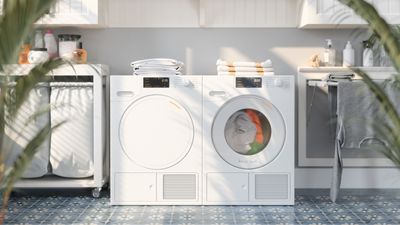 Why won't my dryer spin? Appliance pros reveal three easy fixes you can try right now