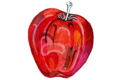 What makes apples red and where does air come from? Try our kids’ quiz