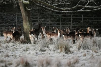 Emergency team meeting as country braces for ‘multi-hazard weather event’