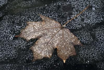 Major Winter Storm And Frigid Temperatures To Hit Eastern US