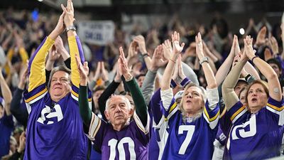 The Vikings Have Spent Nearly $2 Million on Tickets for the Lions Game