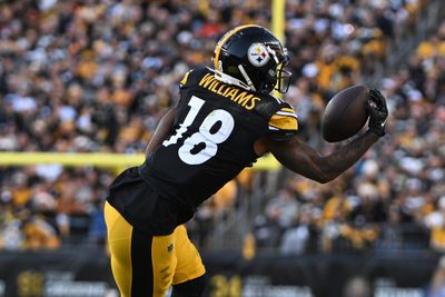 Mike Williams’ sensational catch ignites Steelers’ touchdown drive