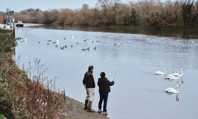 How I learned to fly-fish on the banks of the Thames