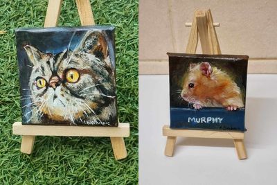 Artist ‘putting some positivity out into the world’ through mini pet paintings