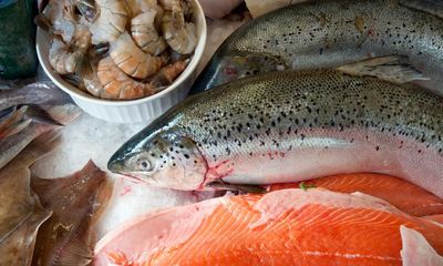 Chefs and home cooks send trout sales leaping amid farmed salmon fears