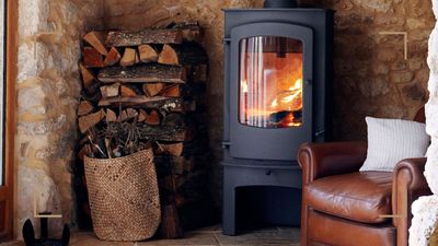 Heating experts reveal the best wood for a log burner – to keep your home warm and your stove happy