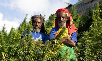 The Rastafarians opening up Caribbean cannabis farms to build a flourishing medical industry