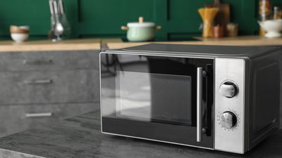 What is a convection microwave and do you need one?