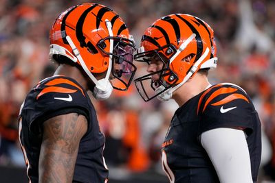 Joe Burrow sends yet another message to Bengals about Tee Higgins