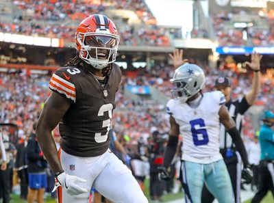 Browns receiver sets single-season reception record