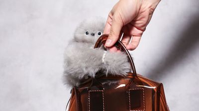 This furry clip-on robot is the strangest thing I've seen at this or any CES