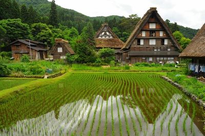 New Zealand’s Most Popular Retirement Destinations