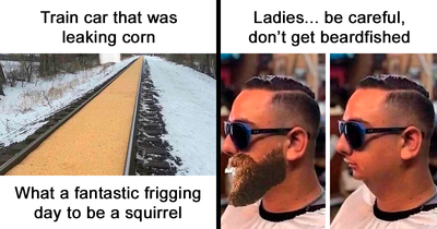 50 Hilarious Memes For People Who Enjoy A Distinct Brand Of Humor (New Pics)