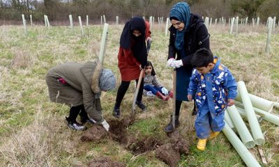 From farm to forest: the volunteers planting 100,000 trees in Somerset