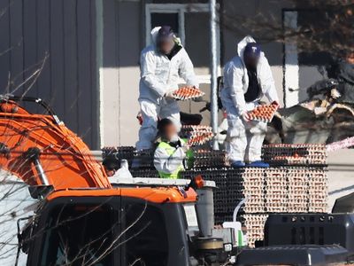 Number of chickens culled in Japan soars to 1.7m amid bird flu outbreak