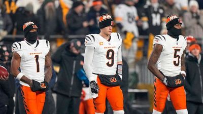 What We Learned in the NFL's Regular Season: Bengals Should Give Core Another Shot