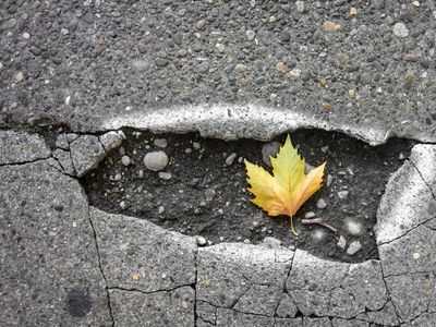 'Desperate' Man Spray Paints Penises on Potholes to Force City to Fix Them