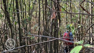 Missing hiker search rolls on after his camera is found