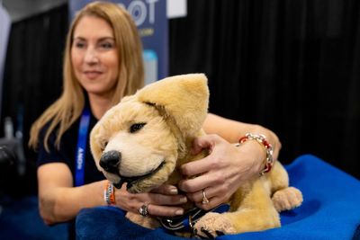 CES 2025: AI-powered beauty mirrors and robot pets among gadgets on display