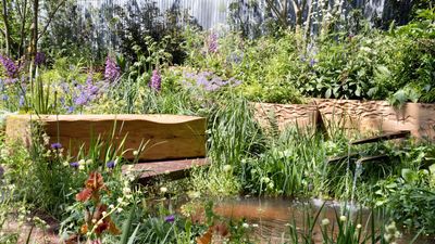 6 impractical garden trends that won’t last in 2025 – ideas to avoid for a user-friendly plot this year