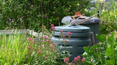 How to buy a compost bin – expert tips to help you pick a plastic, wood, or tumbler bin for your yard waste