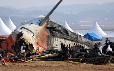 South Korea plane crash investigators reveal initial clues found at site of deadly tragedy