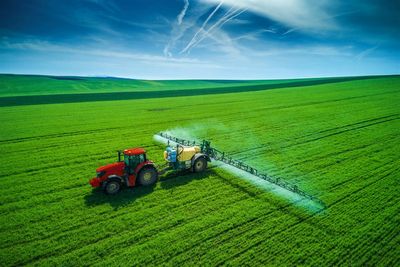 2 Agriculture Stocks To Benefit From a Trump Presidency in 2025