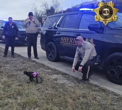 Monkey In Pink Tutu Captured Before Winter Storm Hits