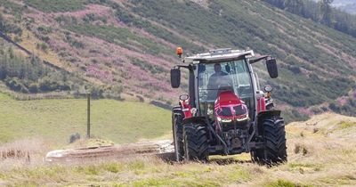 Scottish farmers needed to explore environmental and economic benefits of legumes