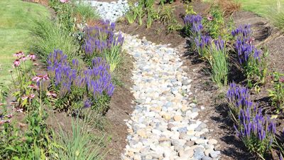 How much does it cost to install a French drain? Experts reveal the exact cost-per-foot, and the 'hidden' costs the landscaping industry doesn't mention