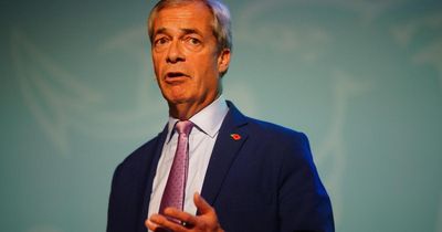 Nigel Farage made £189k for just four hours advertising gold bullions