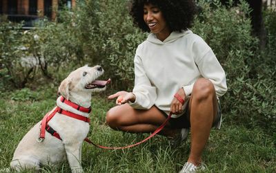 Best dog treat pouches for easy access to tasty rewards