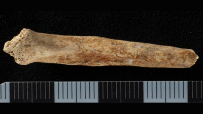 2,000-year-old painted penis bone found in quarry shaft from Roman Britain