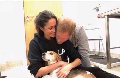 Meghan, Duchess of Sussex announces death of dog: 'I have cried too many tears to count...'