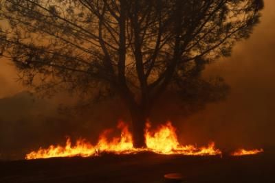 Update Pending On Palisades Fire At Will Rogers State Beach