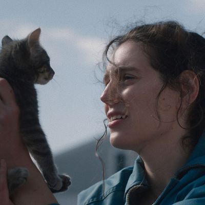The Best Drama Movies of 2025 So Far—And What Exciting Films Are Coming Soon