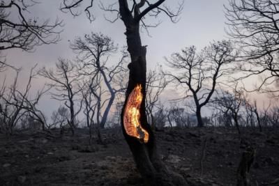 California Governor Declares 'Fire Year' Due To Ongoing Wildfires
