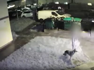 Doorbell footage shows moment armed police shoot man on Christmas Eve