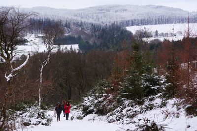 Thousands still without power can use hotel facilities during Irish cold snap