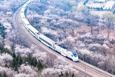 Expert unravels the myth behind the world’s ‘longest train journey’