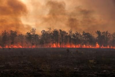 National Weather Service Warns Of Extreme Fire Danger In LA