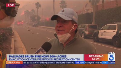 Actor Steve Guttenberg Volunteers Amid Raging Pacific Palisades Fire