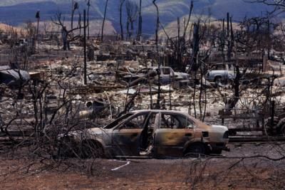 Palisades Fire Destroys 1,000 Structures, Grows Uncontained In LA