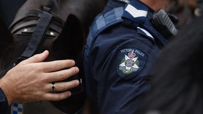 Mystery over failure to charge alleged Nazi salute cop