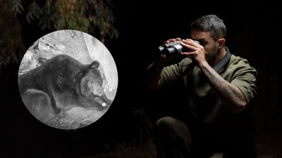 These Night Storm X1 night vision binoculars don't just look revolutionary - they also seem a bargain!