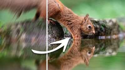 I still use the 'outdated' reciprocal rule to beat camera shake in my photos – here's why…