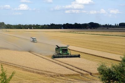 Producing food is ‘primary purpose’ of farming, Environment Secretary says