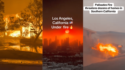 TikTokers Are Revealing California’s Wildfire Crisis: $17M In Slashed Funding & Mass Chaos