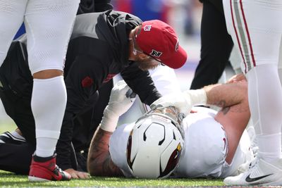 Cardinals weathered injuries to many key players in 2024 season